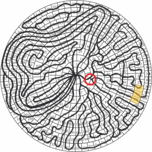 CosmicTimemap_Moscow2016-300x300